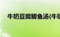 牛奶豆腐鲫鱼汤(牛奶豆腐鲫鱼汤的功效)
