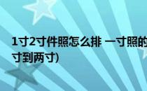 1寸2寸件照怎么排 一寸照的尺寸如何制作(证件照怎么从一寸到两寸)