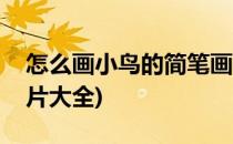 怎么画小鸟的简笔画(怎么画小鸟的简笔画图片大全)