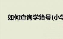 如何查询学籍号(小学生如何查询学籍号)