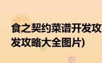 食之契约菜谱开发攻略大全(食之契约菜谱开发攻略大全图片)
