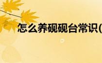 怎么养砚砚台常识(怎样砚台才是好砚)