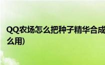 QQ农场怎么把种子精华合成新的种子(qq农场种子合成有什么用)