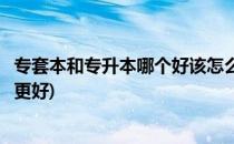 专套本和专升本哪个好该怎么选比较好(专套本和专升本哪个更好)