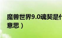 魔兽世界9.0魂契是什么（wow9.0魂契什么意思）