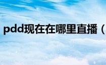 pdd现在在哪里直播（pdd在哪个平台直播）