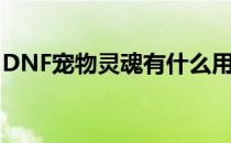 DNF宠物灵魂有什么用（DNF宠物灵魂介绍）