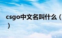 csgo中文名叫什么（csgo中文名叫什么名字）