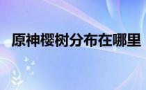 原神樱树分布在哪里（樱树分布位置介绍）