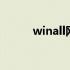 winall网球拍是什么牌子 winall
