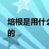 培根是用什么肉做的 新闻 培根是用什么肉做的