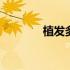 植发多少钱起步 植发多少钱