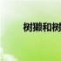 树獭和树懒一种动物吗怎么读 树獭