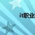 it职业怎么填（it技能怎么填）