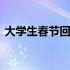 大学生春节回家对比图 大学生春节回乡见闻