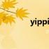 yippi原始股权 yippi原始股