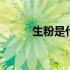 生粉是什么原料做的 生粉是什么