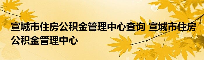 宣城市住房公积金管理中心查询 宣城市住房公积金管理中心