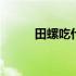 田螺吃什么食物长大 田螺吃什么