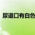 尿道口有白色分泌物男 尿道口有白色分泌物