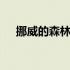 挪威的森林mp3歌曲免费下载 filetype