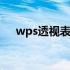 wps透视表怎样设置为一行 wps透视表