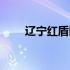 辽宁红盾网企业查询（辽宁红盾网）