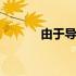 由于导致英语怎么说 由于导致