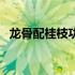 龙骨配桂枝功效与作用（桂枝功效与作用）