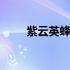 紫云英蜂蜜多少钱一瓶 紫云英蜂蜜