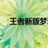 王者新版梦琪出装（王者荣耀梦琪出装）