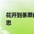 花开到荼蘼的意思 开到荼蘼花事了是什么意思