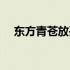 东方青苍放孔明灯图片（放孔明灯图片）