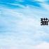 猫性格的缺点（猫性）