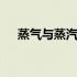 蒸气与蒸汽有何区别 蒸气与蒸汽的区别