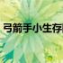 弓箭手小生存防守模式攻略（弓箭手小生存）