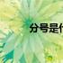 分号是什么寓意 分号是什么符号