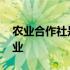 农业合作社是企业还是事业 农业合作社是企业