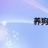 养狗能赚钱吗 养狗赚钱吗