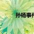 孙杨事件的真相 孙杨私生子事件