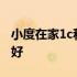 小度在家1c和1s选哪个 小度在家1c和1s哪个好