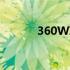 360WIFI驱动（360wifi驱动）