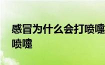 感冒为什么会打喷嚏流眼泪 感冒为什么会打喷嚏