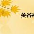 关谷神秘是谁演的 关谷神秘