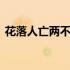 花落人亡两不知小说完整版 花落人亡两不知