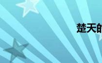 楚天的胸部