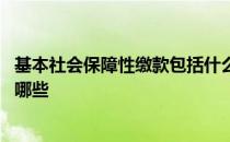 基本社会保障性缴款包括什么 各类基本社会保障性缴款包括哪些