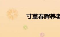 寸草春晖养老院 寸草春晖
