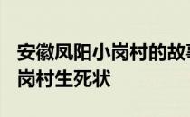 安徽凤阳小岗村的故事在哪一年? 安徽凤阳小岗村生死状