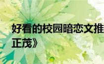 好看的校园暗恋文推荐 类似于《他笑的风华正茂》